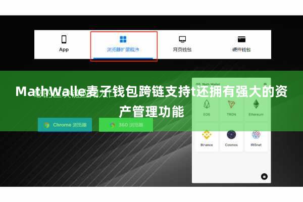 MathWalle麦子钱包跨链支持t还拥有强大的资产管理功能