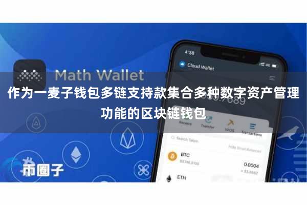 作为一麦子钱包多链支持款集合多种数字资产管理功能的区块链钱包