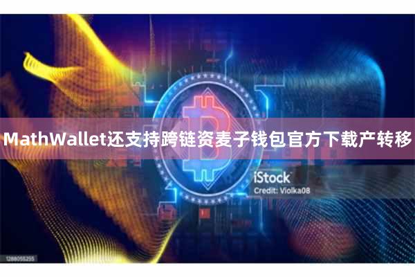 MathWallet还支持跨链资麦子钱包官方下载产转移