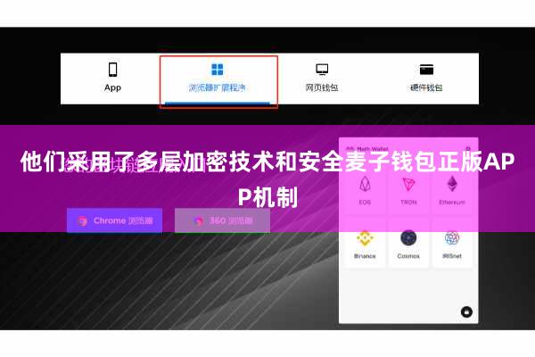 他们采用了多层加密技术和安全麦子钱包正版APP机制